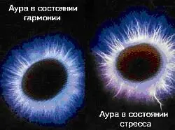 АУРА светящаяся энергетическая оболочка вокруг человека животных растений и - фото 8