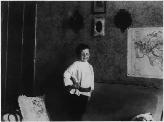 Сережа Фудель в арбатской квартире Москва Середина 1900х гг Сережа - фото 27