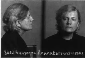 Л Е Андреева Н С Романовский М А Закатова - фото 56