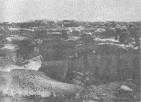 Вот оно загадочное плато Кувшиночники Вид на Алмазный водопад сверху - фото 42