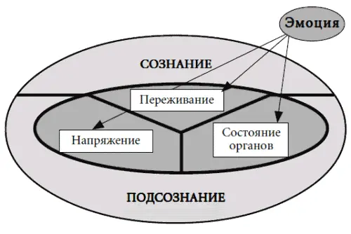 Напряжение мышц не будите медведя он может испугаться Мышечное напряжение - фото 19