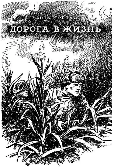 Пепел Севастополя стучит в мое сердце Клятва Кирюши Приходько Дорога смерти - фото 25