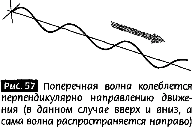 Но при физическом описании этих колебаний нам нужны только два независимых - фото 54