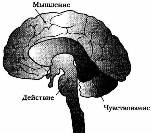 Рисунок 1 Любезно предоставлен фондом Прикоснись к будущему В конце этой - фото 1