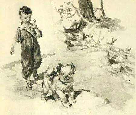 Ранним утром они отправились в сад Ара и его щенок Котот шли по берегу - фото 3