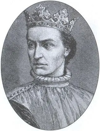Ягайло Владислав II Казимир IV Ягеллончик Принятие Люблинской унии в 1569 г - фото 21