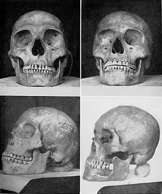 Рис 23 Черепа индейцев которые были найдены во многих регионах Соединенных - фото 24