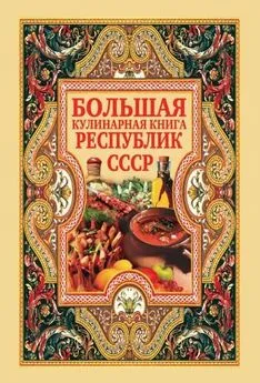 Дарья Нестерова - Большая кулинарная книга республик СССР
