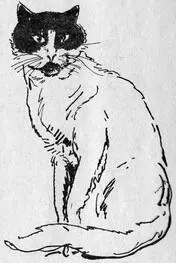 Но как это сделать Мышьто не дура к коту не идёт Вот подошёл он к стенке - фото 4