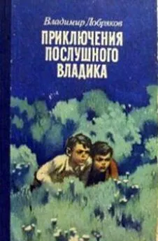 Владимир Добряков - Приключения послушного Владика