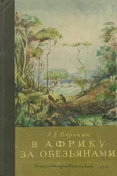 Леонид Воронин - В Африку за обезьянами