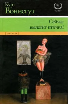 Курт Воннегут - Сейчас вылетит птичка!