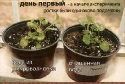 Одна девочка полила цветы разной водой левый горшочек водой подогретой в - фото 12