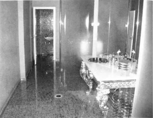 Туалет в ресторане Палкин в СПетербурге Фото 2007 года Модель унитаза - фото 23