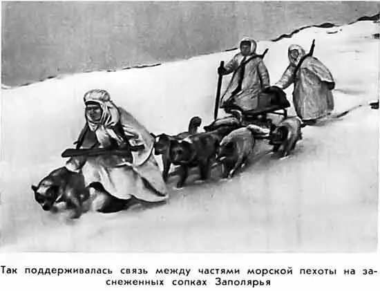 Так поддерживалась связь между частями морской пехоты на заснеженных сопках - фото 18