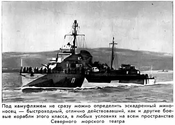 Под камуфляжем не сразу можно определить эскадренный миноносец быстроходный - фото 11