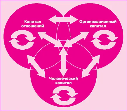 Рис 35Взаимодействие основных видов интеллектуального капитала Базовых - фото 122