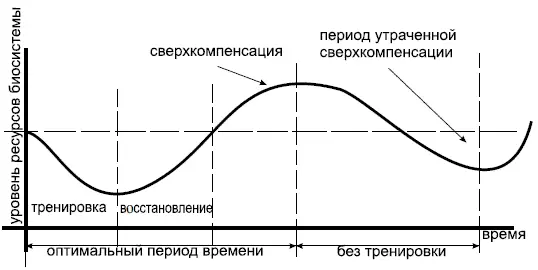 В результате тренировки наш организм растрачивает определенное количество - фото 1