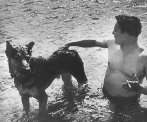 Тито и овчарка Тигр 1944 г Тито справа после ранения в битве на реке - фото 15