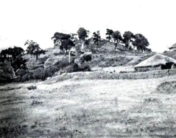 Вершина Энтото Собрание А И Кохановского 1913 г 31 мая 1896 года Леонтьев - фото 3