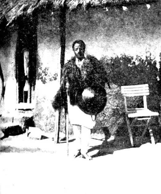 Воинамхарец Собрание М И Лебединского 18981907 гг В доме окруженном - фото 5