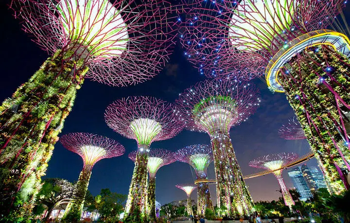 Всего в Gardens by the Bay построено 18 таких деревьев Собранная ими энергия - фото 56
