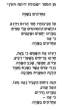 На веки давит мира тяжкий гнёт Из книги Зеленоглазый колос На веки давит - фото 8