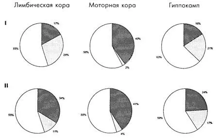 Рис 144Паттерны системной специализации нейронов разных структур мозга - фото 59