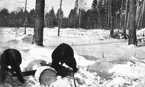 Польские дети в сибирской ссылке 194042 гг Михал Тегеран Осень 1942 г - фото 21