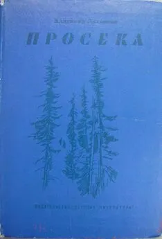 Владимир Ляленков - Просека