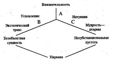 A Внимательность имеет отношение к начальным этапам медитации более подробно - фото 2