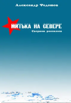 Александр Федотов - Митька на севере (сборник)