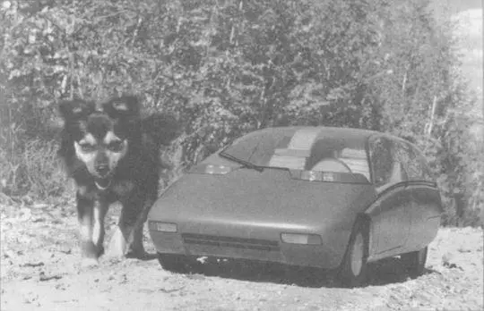 Масштабный макет Х1на природе на фоне маленькой собачки фотографа В Шувалова - фото 74