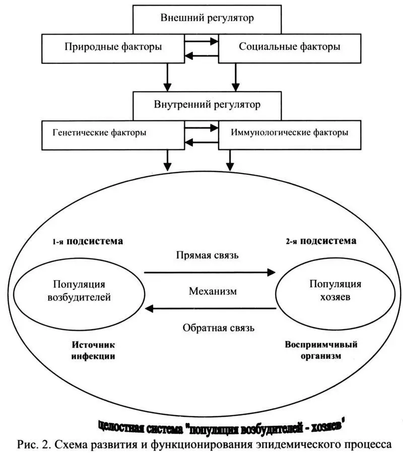 Итак эпидемический процесс включает в себя как выявленные появившиеся - фото 3