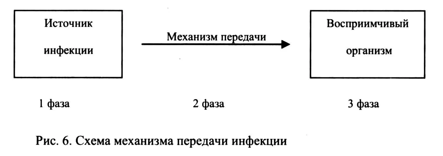 Эти фазы обязательно существуют при всех инфекционных заболеваниях Однако эти - фото 7