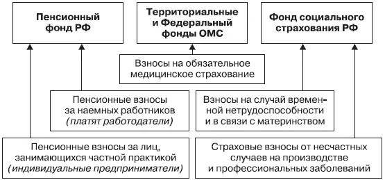 Рис 51 Схема уплаты страховых взносов Платить страховые взносы обязаны - фото 18