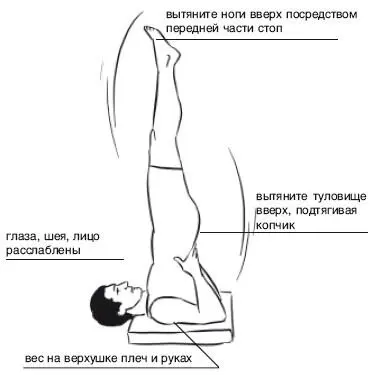 Важные действия Никакого давления на голову Упирайтесь кистями в спину - фото 104