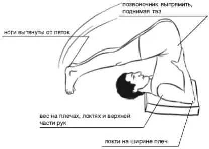 Поднимайте таз вверх Напрягайте ноги Грудная клетка отводится к - фото 111