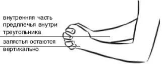 ДВА ИСХОДНЫХ ПОЛОЖЕНИЯ Колени согнутых выдохните согните колени и плавно - фото 127