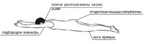 Плечи отведены назад и вниз Руки и задняя поверхность шеи вытянуты - фото 135
