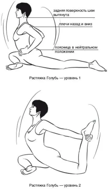 ЭКА ПАДА РАДЖАКАПОТАСАНА I Поза Голубя I ИСХОДНОЕ ПОЛОЖЕНИЕ Практикуйте - фото 157