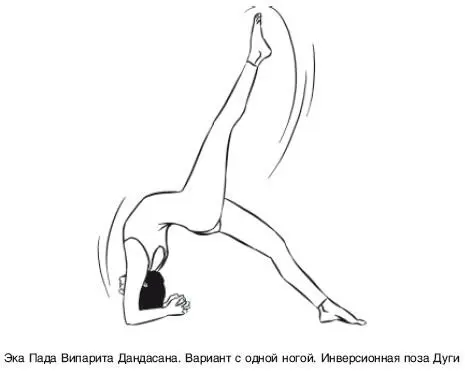 ПРАКТИКА АСАН НА ПОЛУ БАДДХА КОНАСАНА Поза замкнутого угла ИСХОДНОЕ - фото 161