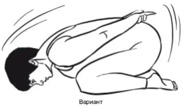 НАКЛОНЫ ВПЕРЕД ИЗ ПОЛОЖЕНИЯ СИДЯ ДАНДАСАНА Основная поза Дандасана - фото 197