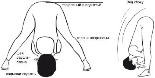МОДИФИКАЦИИ Обопритесь руками о стену или стул чтобы работать с прямыми - фото 64