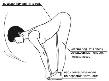 Важные действия Вытяжение прямого позвоночника когда вы наклоняетесь вперед - фото 82