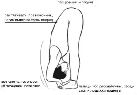 Общие предупреждения Не подходит для страдающих ишиасом Не отводите - фото 83
