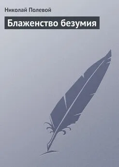 Николай Полевой - Блаженство безумия