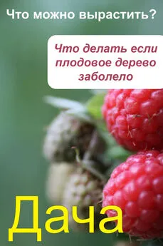 Илья Мельников - Что можно вырастить Что делать, если плодовое дерево заболело