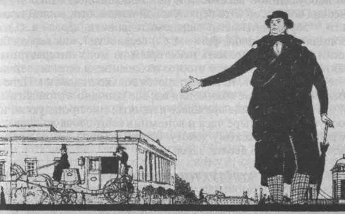 Незабудки и запятки Иллюстрация В А Белкина 1923 г КОНДУКТОР И ТАРАНТУЛ - фото 9