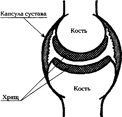 Илл 1 Здоровый сустав Хрящпредставляет собой упругую очень прочную и очень - фото 1